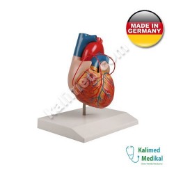G205 KALP MODELİ BY-PASS LI